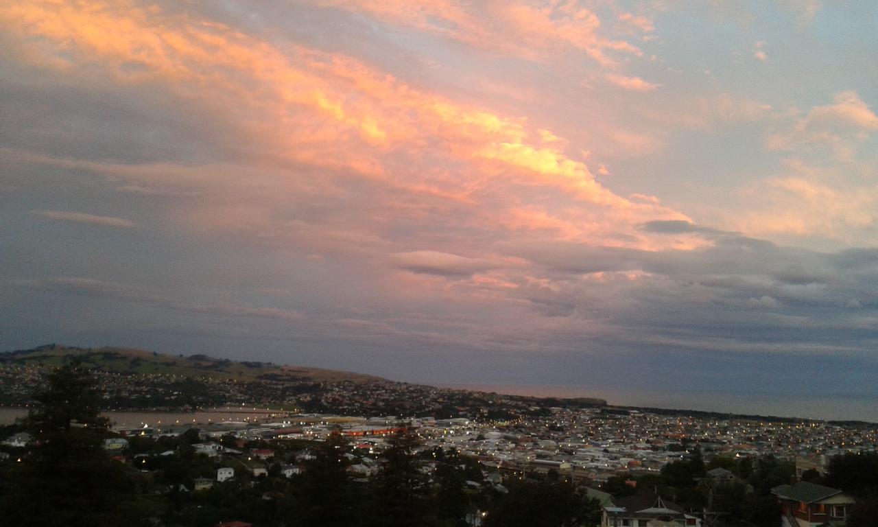 Beautiful Panoramic Views Apartment Dunedin Exterior photo